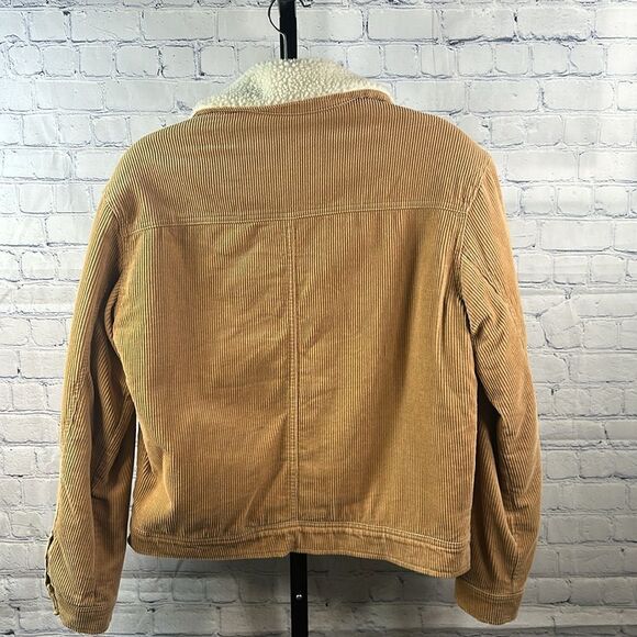 🧥 BDG Urban Outfitters Sherpa-Lined Corduroy Jacket XS - Picture 3 of 4